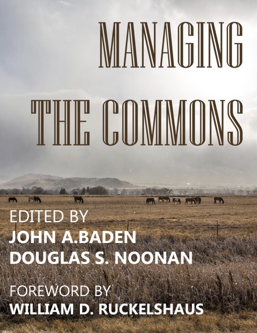 Cover of Managing the Commons
